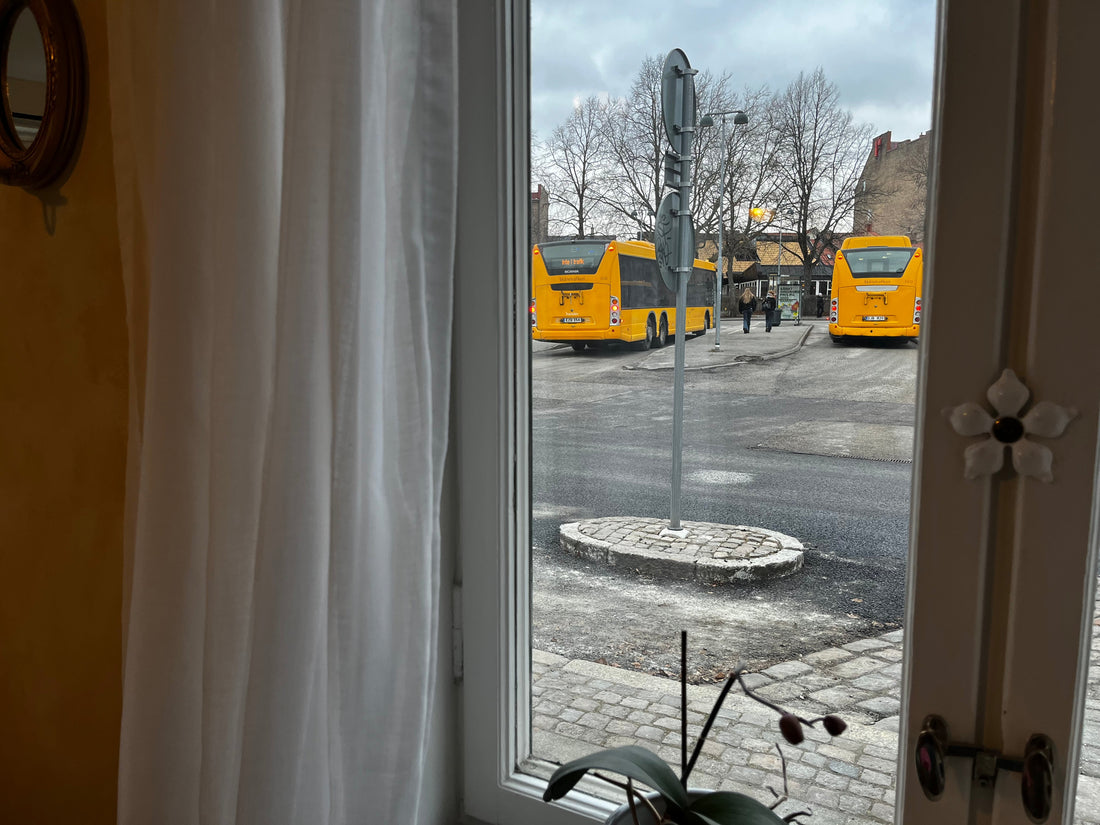 Att upptäcka Lund till fots – stadens bästa promenadstråk och dolda miljöer
