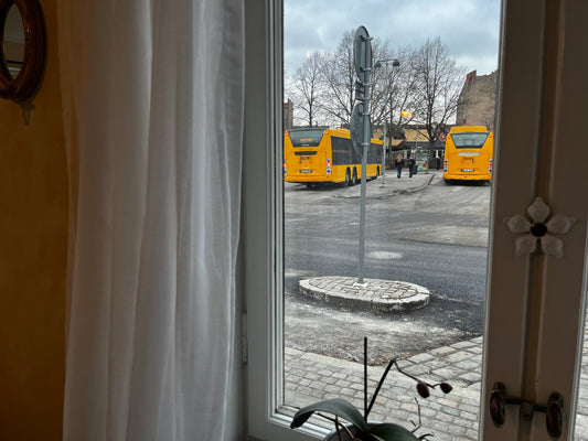 Att upptäcka Lund till fots – stadens bästa promenadstråk och dolda miljöer